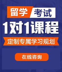 大鸡吧操你的小骚逼浪逼嫩逼扣逼视频留学考试一对一精品课